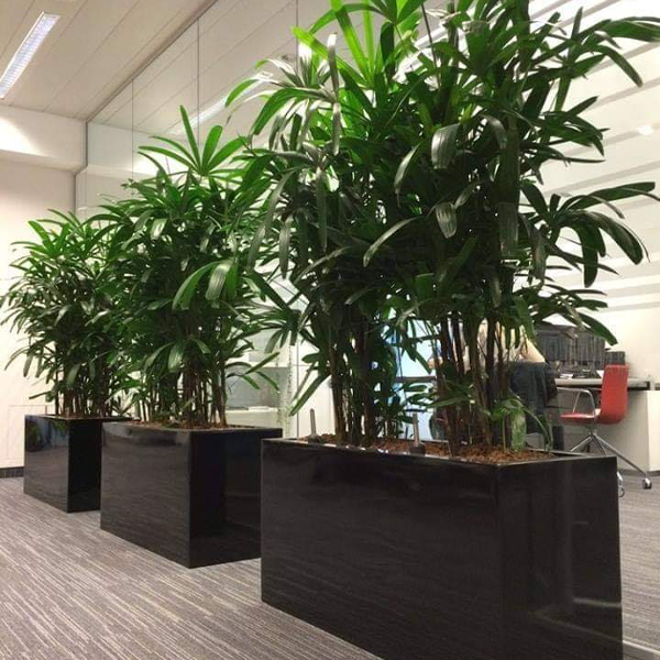 Jardiniere en polyester de L100×L35×H50cm