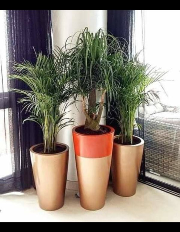 Pot Cylindrique de 60cm