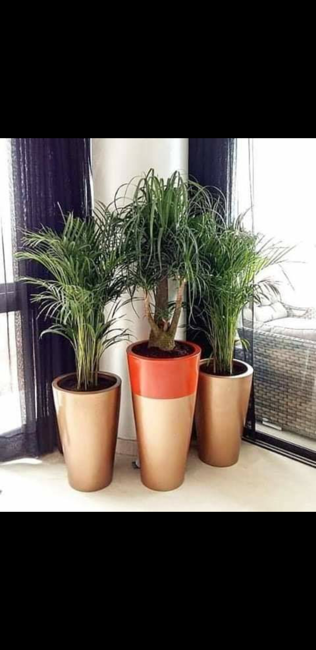 Pot Cylindrique de 60cm